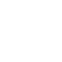 Icon Warframe
