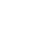 Icon Ability